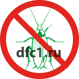 Уничтожение тараканов в Новом Уренгое